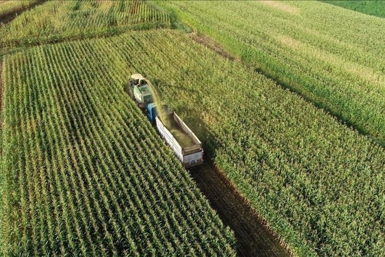 Tarım sayımına katılan çiftçi sayısı 2,7 milyonu aştı