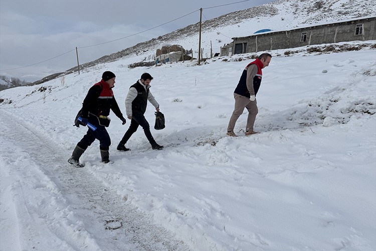 Hakkari'de veteriner hekimler hayvanların sağlığı için karlı yolları aşıyor