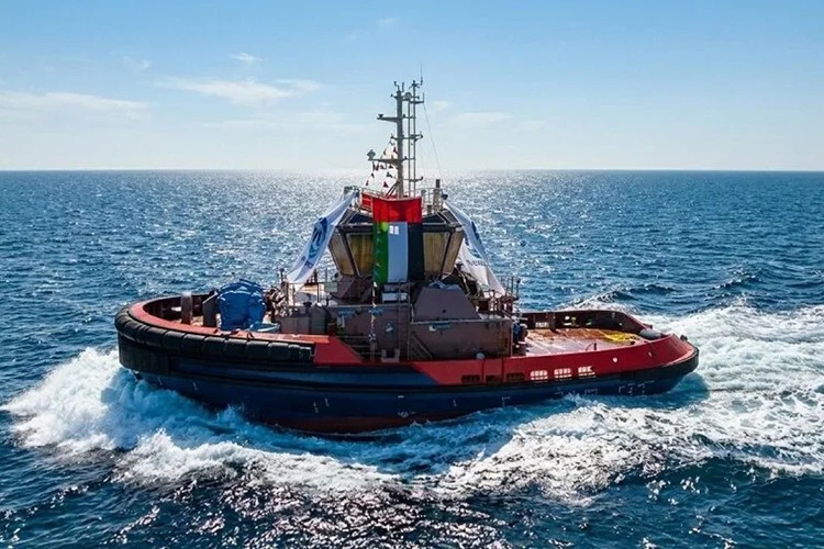 Noatum filosuna güçlü takviye