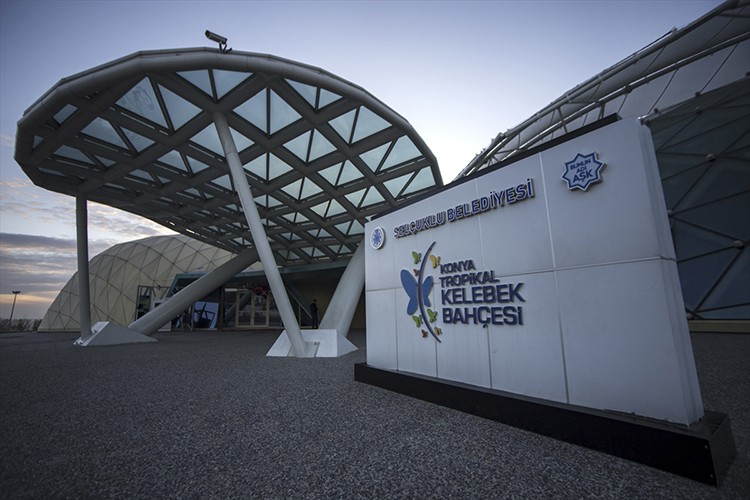 Konya Tropikal Kelebek Bahçesi'ne yoğun ilgi