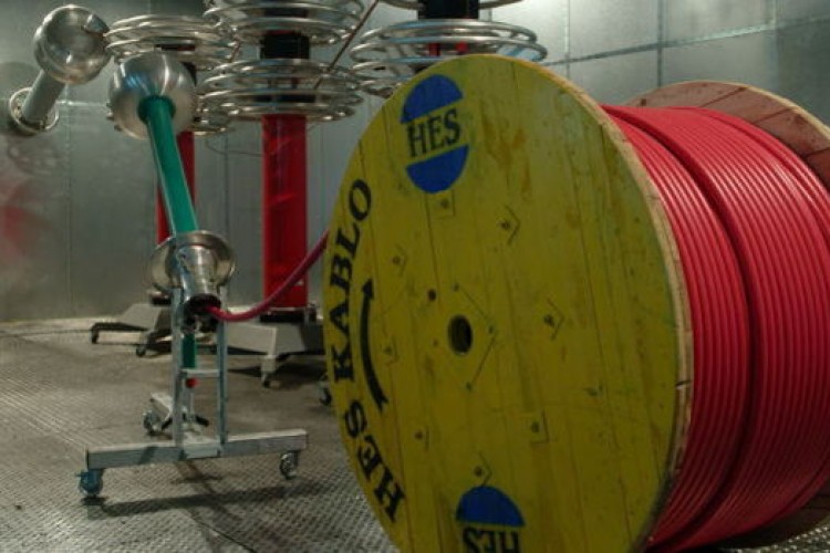 TMSF HES Kablo'yu satışa çıkardı