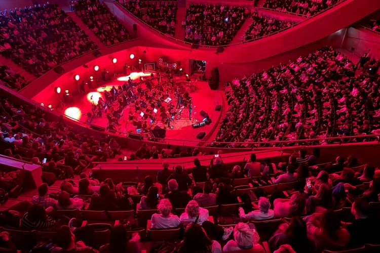 Mehmet Erdem Hayranlarını Büyüledi