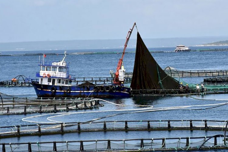 Muğla'da ihracat 1 milyar doları aştı