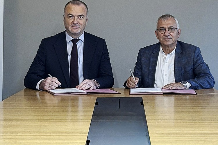 Zeytin ağaçlarının taşındığı yerdeki durumunu TTKD takip edecek