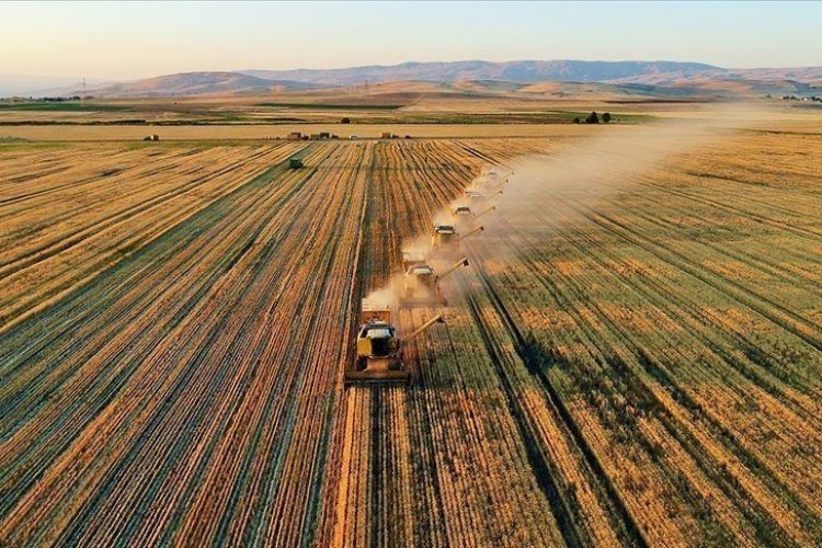 Bakan Yumaklı: 1 milyar 879 milyon lira destekleme ödemesi çiftçilerin hesaplarına aktarıldı