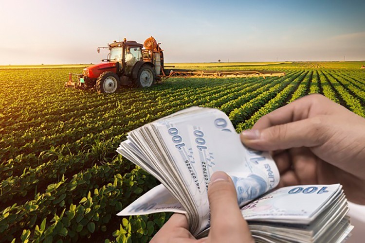 Tarım ÜFE aylık yüzde 1,13 azaldı