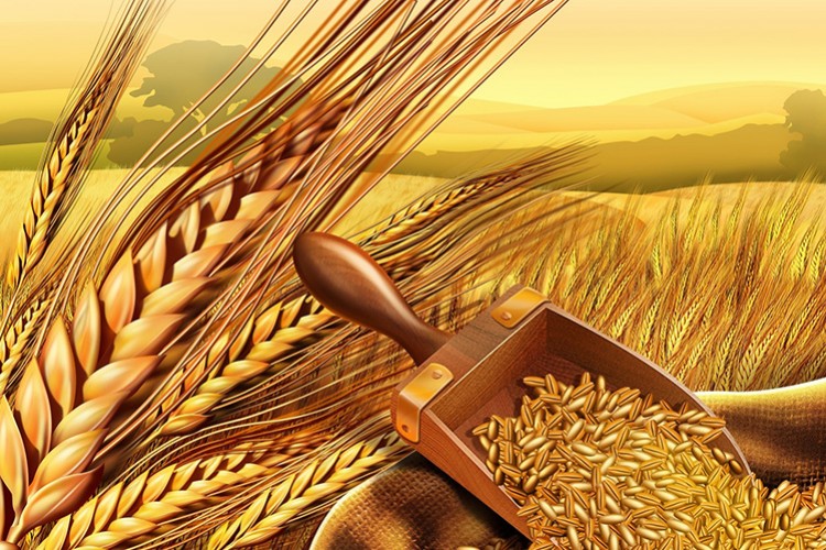 Suriye'den hububat alıyoruz