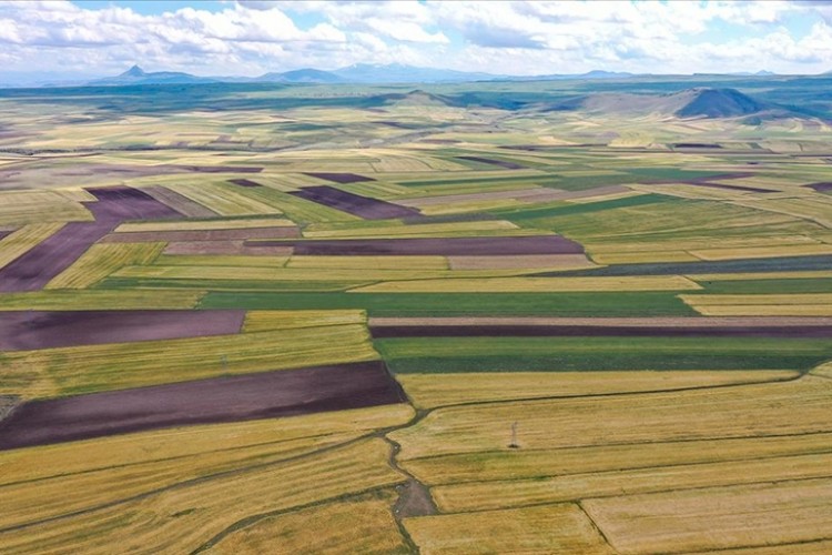 2023 Yılının Gözde Yatırım Aracı 'Arsalar' Oldu