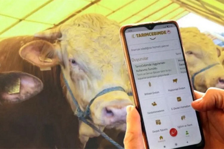 "Tarım Cebimde" uygulaması üreticilerin hizmetinde