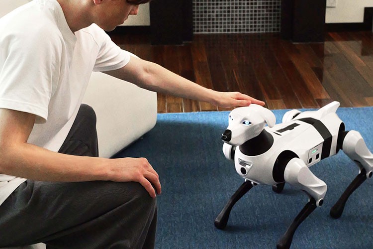 Jaecoo, ev tipi robot köpeği Argos'u tanıttı