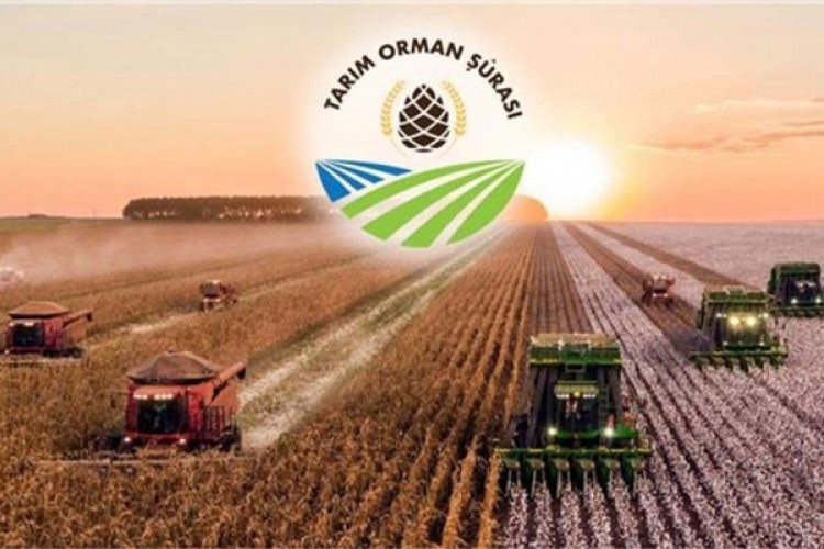 Tarım Orman Şurası "Bereketin Yüzyılı"na rota çizecek