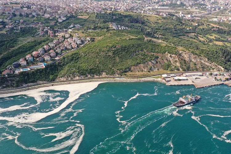 Marmara'da müsilaj tehlikesi sürüyor