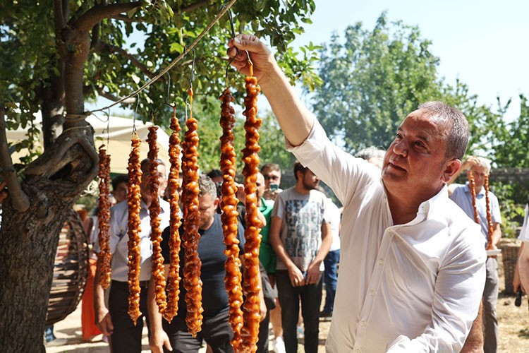 Mor üzümler toplandı pekmez yapıldı