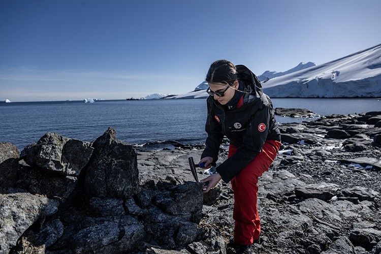 Horseshoe Adası'nın Jeolojik geçmişi