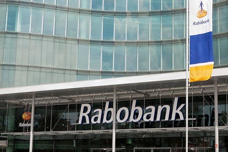 Hollanda'da bankalar şube kapatıyor