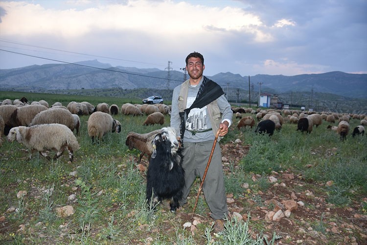 Şırnak'ta göçerler hayvanlarını yaylalara götürmek için yola koyuldu