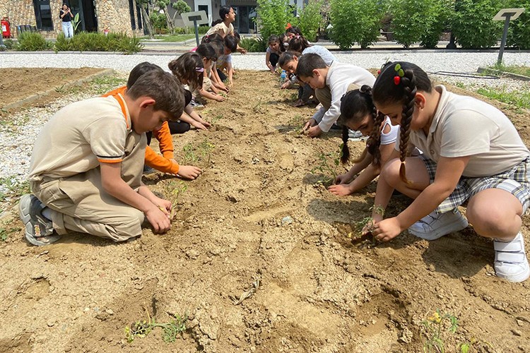 Çocuklar fideleri toprakla buluşturuyor