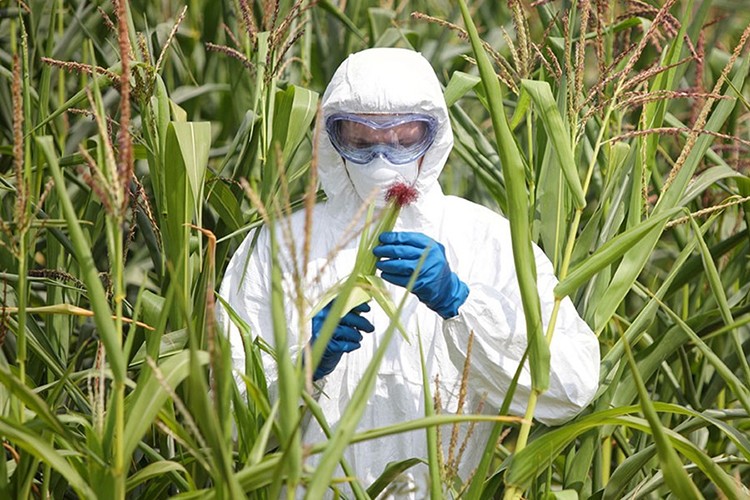 Gıda arz güvenliği için öneriler