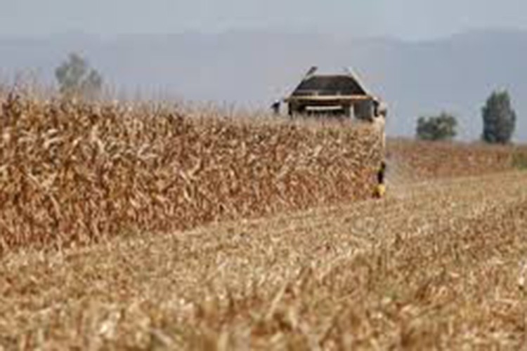 Tarımda verimlilik odaklı dönem