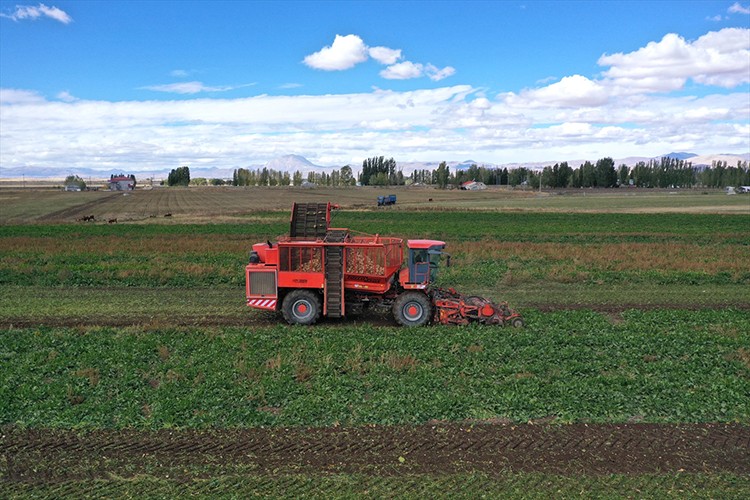 Ağrı'da tarım ürünlerinde çeşitlilik artıyor