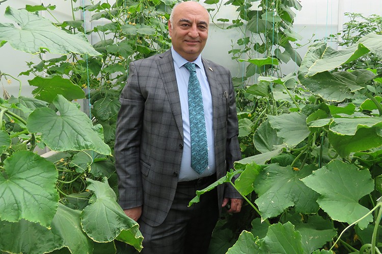 Sera ekspertize takıldı