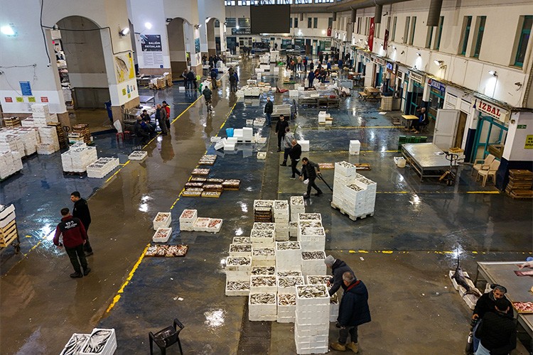 Egeli balıkçılar sezonu geçen yılın üzerinde balıkla kapatacak