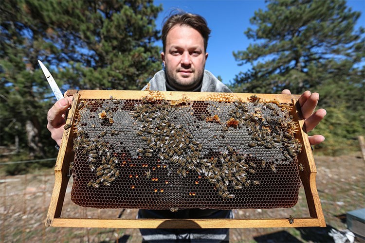 Uludağ'ın eteklerinde kestane balı üretiyor