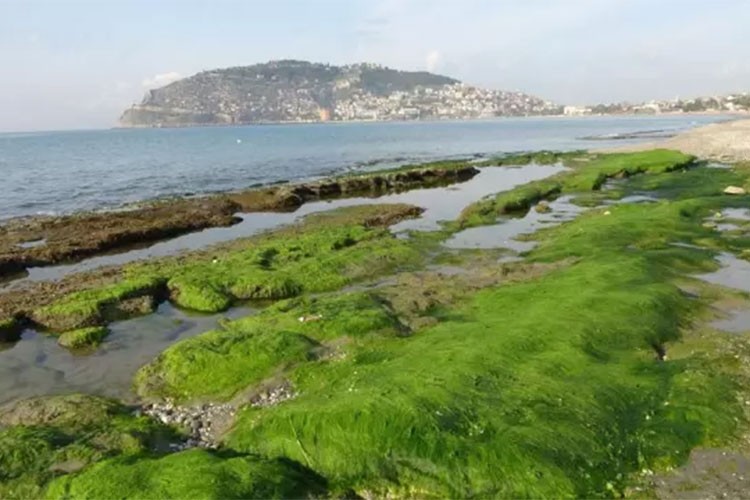 Karayip Denizi'nde 7,6 büyüklüğünde deprem