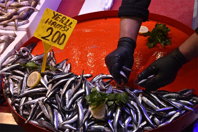 Trabzon'da hamsinin kilogramı 150 ile 200 lira arasında
