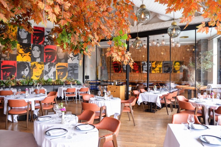 Serafina, Yenilenen Menüsü ve Yeni Şubeleri ile Yaz Sezonuna İddialı Giriş Yapıyor