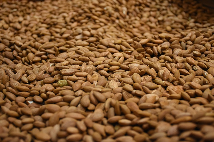 Kayısı çekirdeği fiyatı arttı