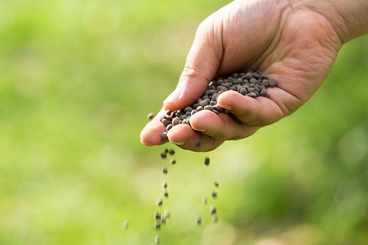 Avrupa'da gübre krizi kapıda