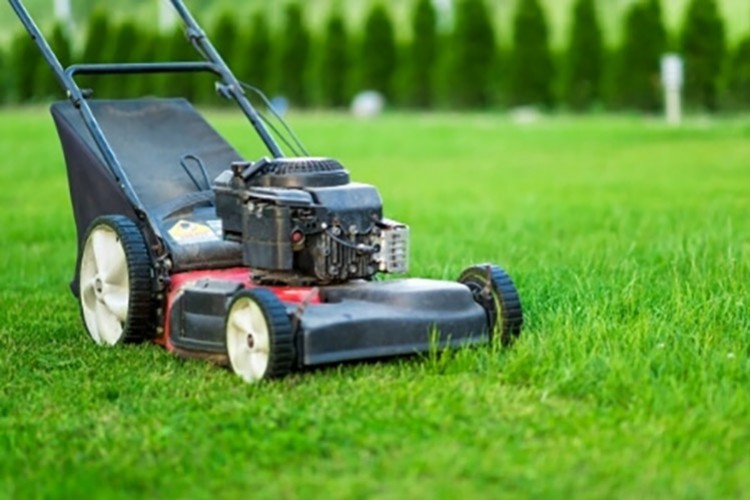 Bahçe malzemesi alınacak