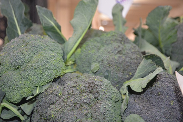 Besin deposu brokoliye ilgi az