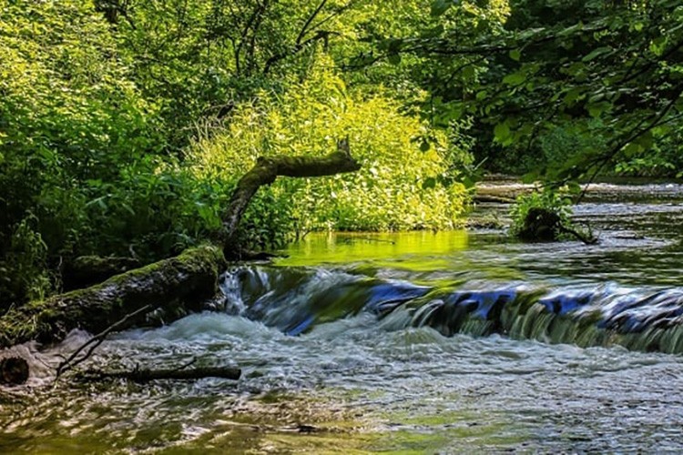 Su alanlarına yeni düzenleme