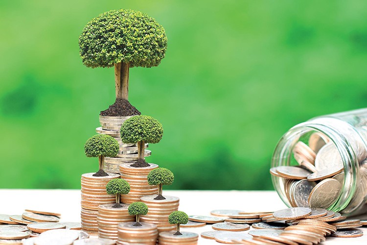 "Yeşil bankacılığın" sürdürülebilir kalkınmaya katkısı günden güne büyüyor