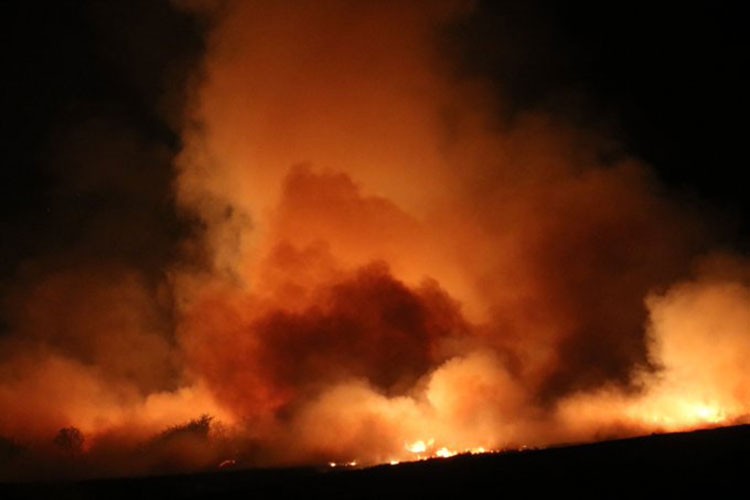 Yangından etkilenen alanlar, "Afet Bölgesi" ilan edildi