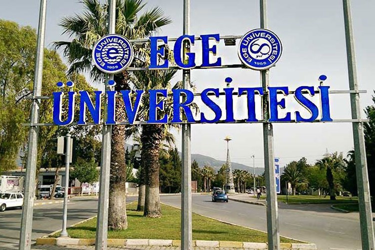 Akademisyen alınacak