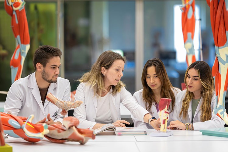 Üniversite adayları için geleceğin anahtarı