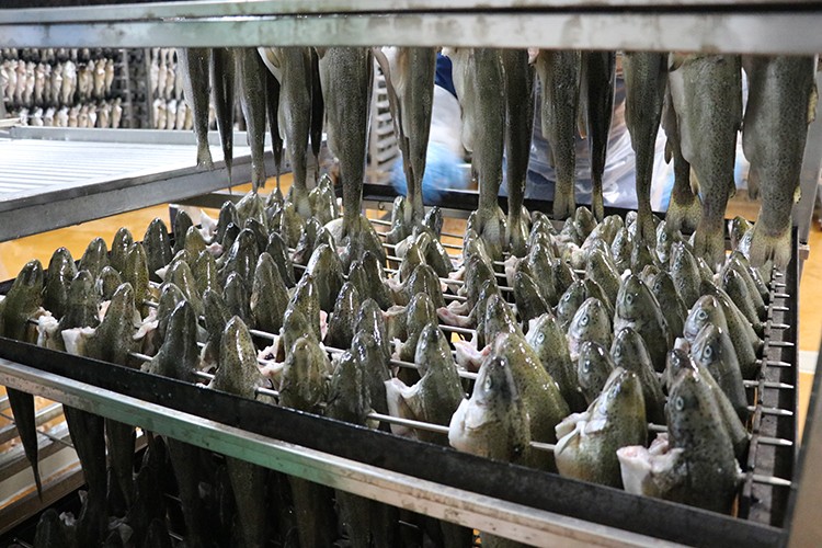 Çin ve Japon pazarında