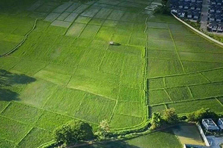 İşlenmeyen tarım arazileri tarımsal amaçlı kiralanacak