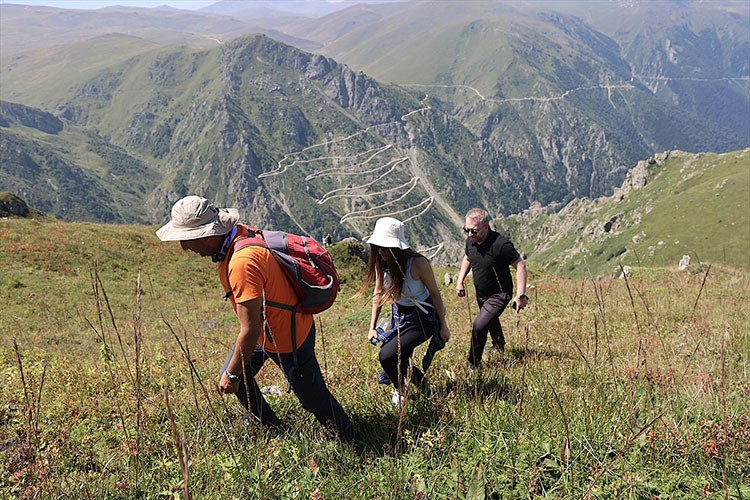 Doğa tutkunlarının gözdesi Derebaşı Virajları