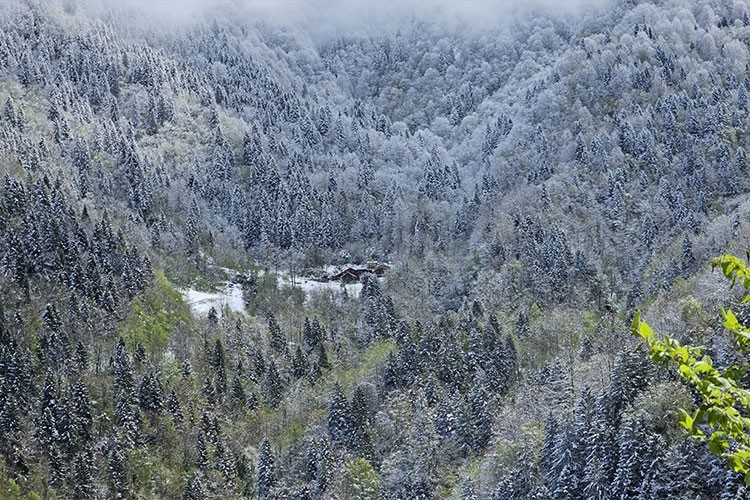 Rize'nin yüksek kesimleri nisanda yağan karla beyaza büründü