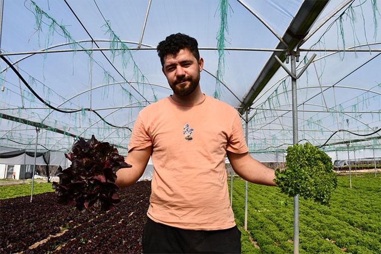 Ürettiği 10 çeşit marul Akdeniz salatasına dönüşüyor