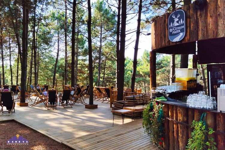 Ormanda Işık Festivali'ni ağırlayacak