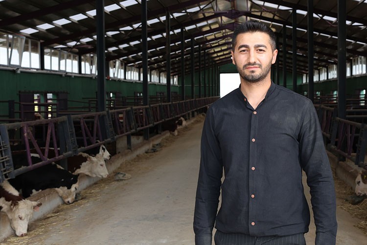 350 büyükbaş hayvanla üretime başladı