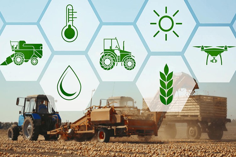 Türk tarım ve turizmi kabuk değiştiriyor