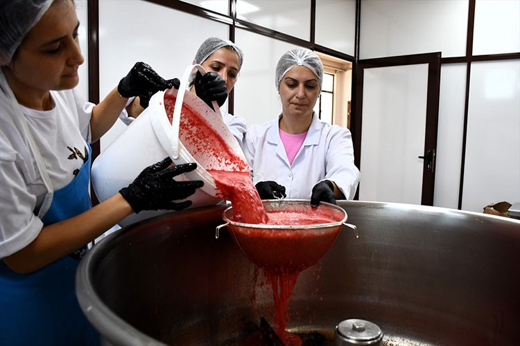 Coğrafi işaretli karpuzu pekmeze dönüştürerek değerini 25 kat artırdılar