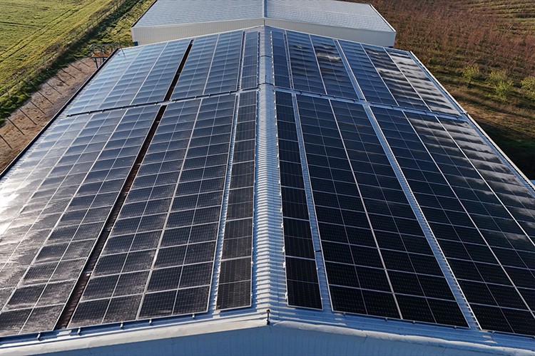 Elektriğinin yüzde 80'ini güneşten sağlıyor