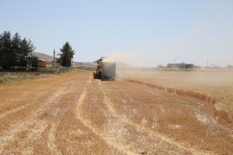Adıyaman'da sezonun ilk arpa hasadı yapıldı
